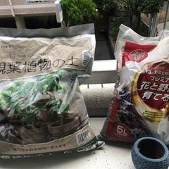 観葉植物◾️砂◾️軽石◾️鉢（小
）の画像