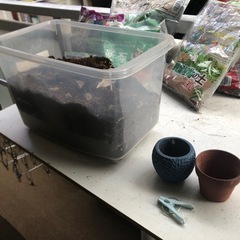 観葉植物◾️砂◾️軽石◾️鉢（小
）の画像