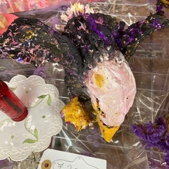 紙粘土アート（鷹）