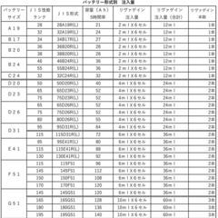 イオン科学　リヴァゲイン 20ml　溶媒和電子水　鉛バッテリー復活剤の画像