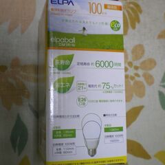 電球型蛍光灯　100W相当　電球色の画像