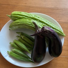 野菜セット