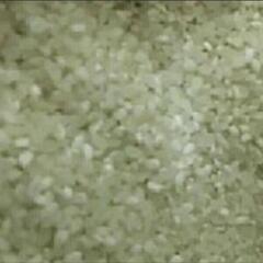 お米30kg