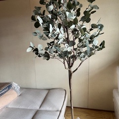 ユーカリの木　フェイクグリーンの画像