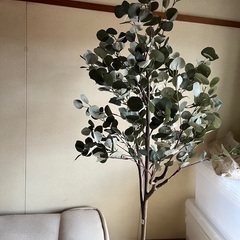 ユーカリの木　フェイクグリーンの画像