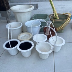 プラスチック植木鉢　苗・アサガオ用