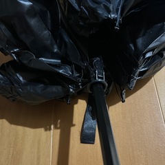 日傘