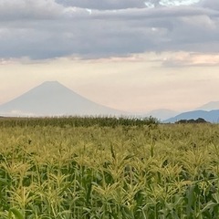 皆さん、一緒にダイエットしませんか？ - 諏訪郡