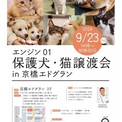【エンジン01保護犬・猫譲渡会 in 京橋エドグラン】