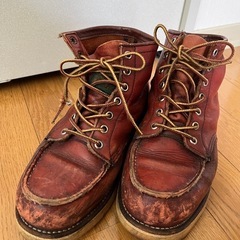 レディース レッドウィング REDWING アイリッシュセッター...