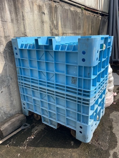 年末セール ジャンボックス500 送料込み