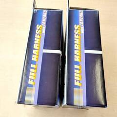 山口)【未使用保管品】フジイデンキ　ランヤード　フルハーネス　R-510シリーズ　2点セット ◆BIZ1336FCY MG21Bの画像