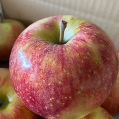 新品種リンゴ🍎　　シナノリップ