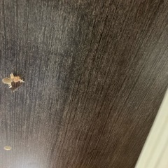 ベッドフレーム　セミダブル　アイリスプラザの画像