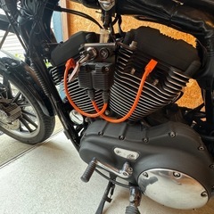 ハーレー　xl1200r 最終キャブ車　2006年の画像