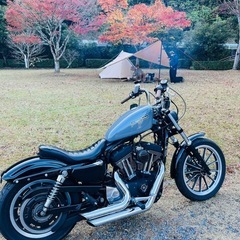 ハーレー　xl1200r 最終キャブ車　2006年の画像