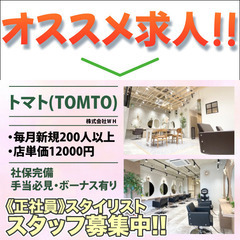 トマト(TOMTO)スタイリスト募集中！
