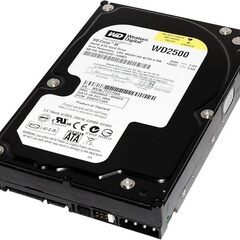 3.5インチ250GB WesternDigital HDD W...