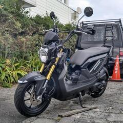 商談中です。ホンダ ズーマーX 走行約17600km JF52 の画像