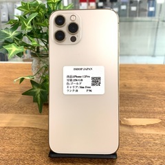 iPhone 12 Pro