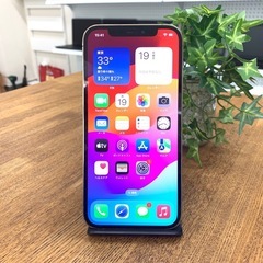 iPhone 12 Pro