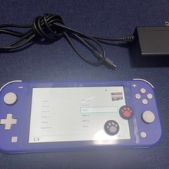 本日2000円引き‼️‼️(元値から)NintendoSwitchLight 本体