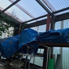 ブルーシート