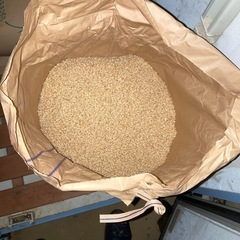 令和5年産茨城コシヒカリ玄米(30kg) 袋