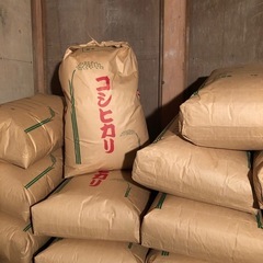 令和6年産新米コシヒカリ玄米30kg