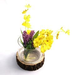 花瓶 おしゃれ 切り株 ガラス 木 木製 フラワーベース メダカ...