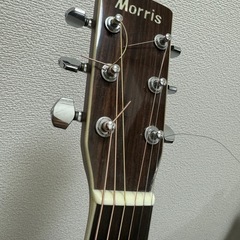 Morrisギターの画像
