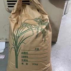 茨城県産お米