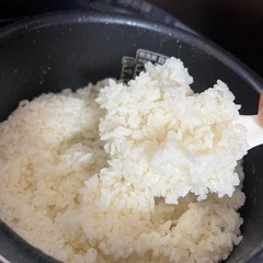 茨城県産お米