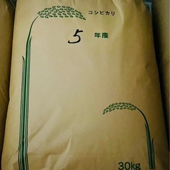 受付終了。令和5年度　コシヒカリ　30Kg 