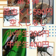 延長させてもらいました！第３弾昆虫くじ9月末まで