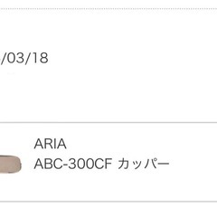 ARIA ABC-300CF カッパー ギグケース　アコギの画像