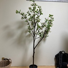 家具 インテリア雑貨/小物 置物、オブジェの画像