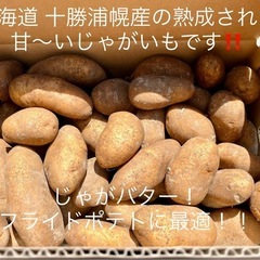みんなに食されて40年 雪夏稚(せっかち)くんのじゃがいも10k...