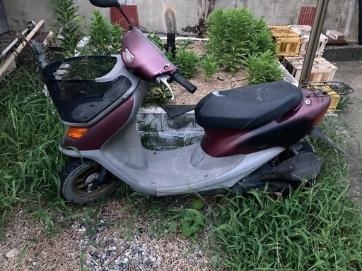 ライフディオチェスト