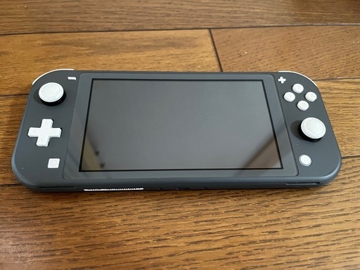 その他 Nintendo Switch light