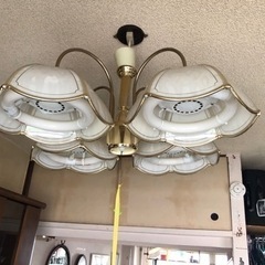 照明器具、ライト、蛍光灯　