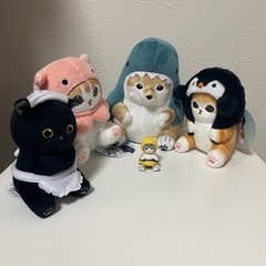 かわいい！サメにゃん達
