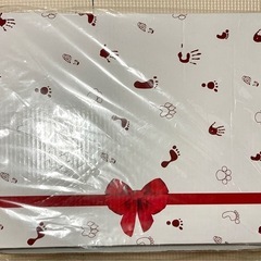 20%オフしました✨【新品未使用】手形キット(お子様やワンちゃん...