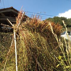 ソバ打ち仲間、募集します。 - 小田郡