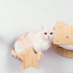 キャットステップ　2個セットの画像