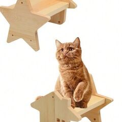 キャットステップ　2個セットの画像