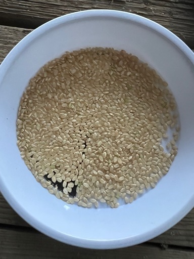 令和6年産茨城県産コシヒカリ