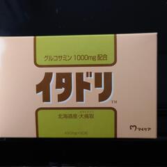 イタドリの画像