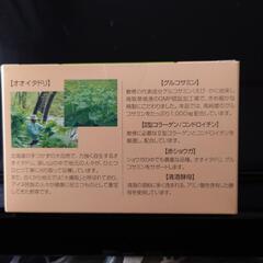 イタドリの画像