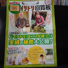 イタドリの画像
